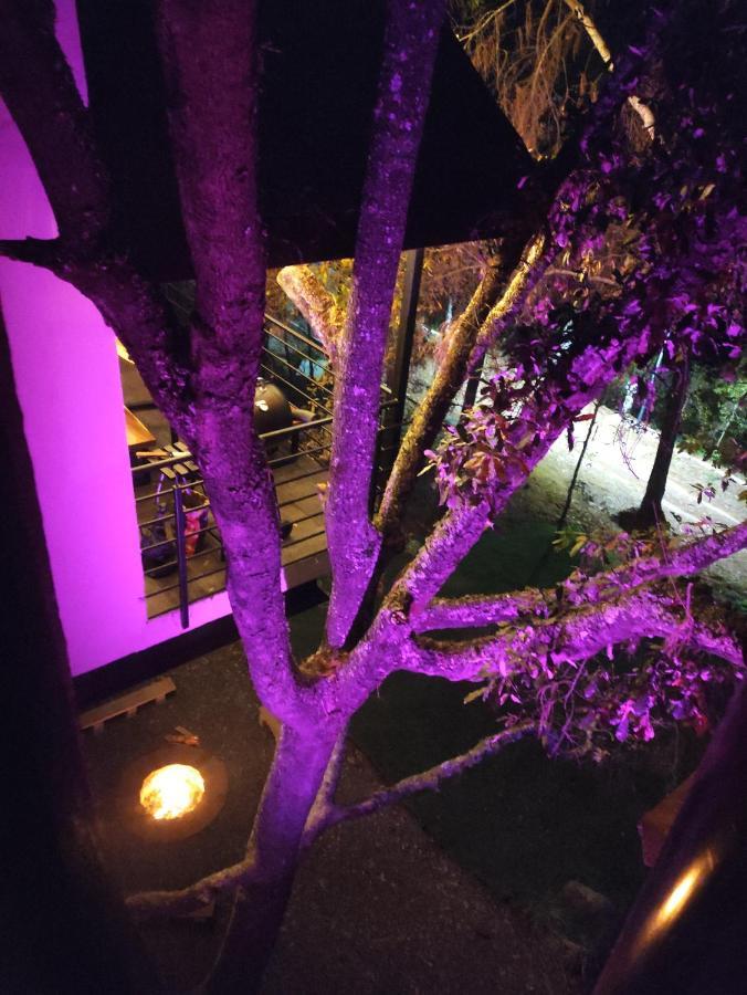 Cabanas San Marcos Mazamitla Eksteriør bilde